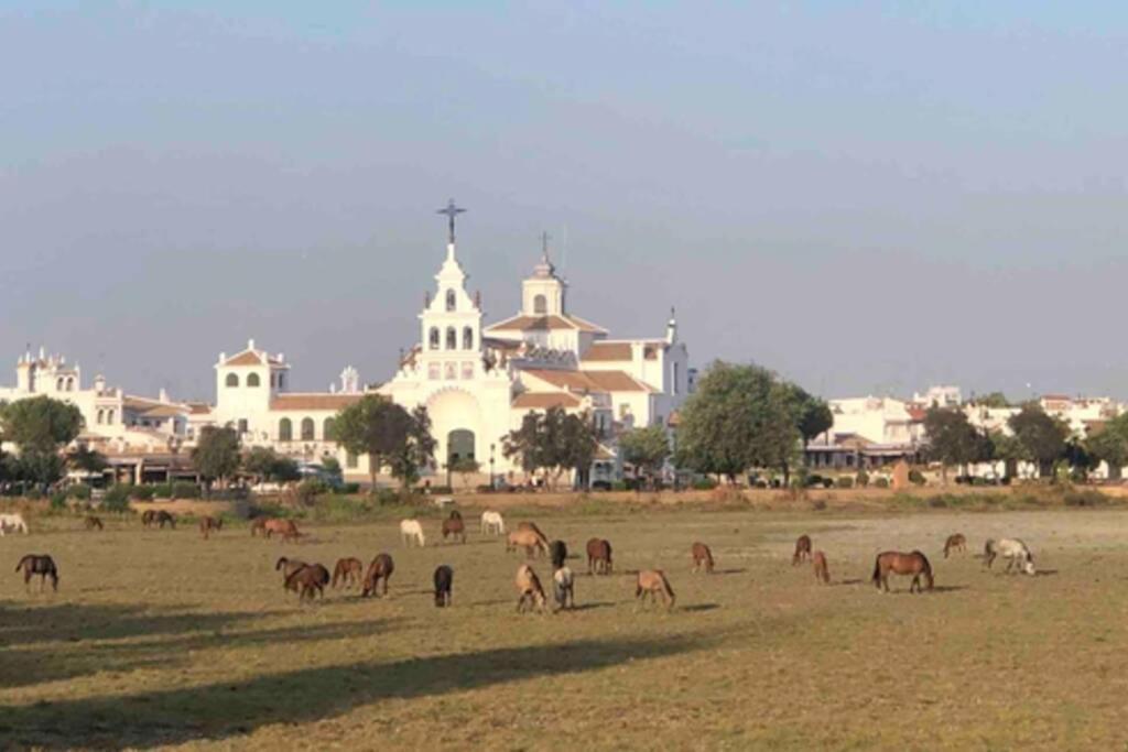 Casa Luz Del Rocio Refugio Con Alma A 8 Minutos De La Ermita Apartamento Exterior foto